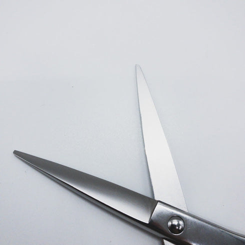 【ミズタニシザーズ ミズタニシザーMIZUTANI SCISSORS】Pixyピクシー6.2 シザー メガネ 理容 美容ハサミ 美容師 理容師 右利き 6.2インチ 中古 sc1058