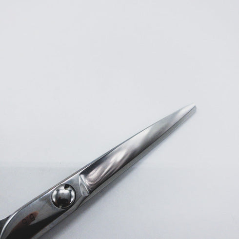 美品【ピークアブーPEEK-A-BOO】STANDARD 5.5 シザー メガネ 理容 美容ハサミ 美容師 理容師 右利き 5.5インチ 中古 sc1083