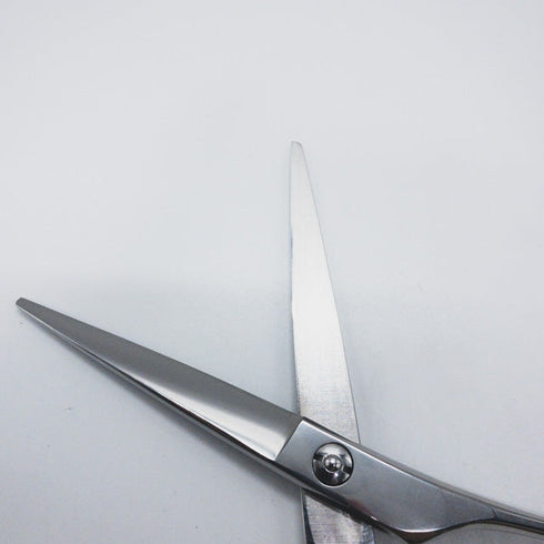 【ミズタニシザーズ ミズタニシザーMIZUTANI SCISSORS】Pixyピクシー6.2 シザー メガネ 理容 美容ハサミ 美容師 理容師 右利き 6.2インチ 中古 sc1136