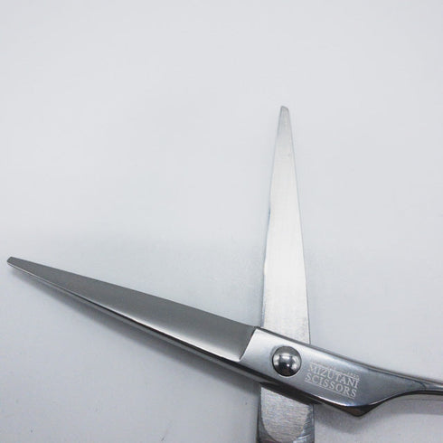 【ミズタニシザーズ ミズタニシザーMIZUTANI SCISSORS】Pixyピクシー6.2 シザー メガネ 理容 美容ハサミ 美容師 理容師 右利き 6.2インチ 中古 sc1136