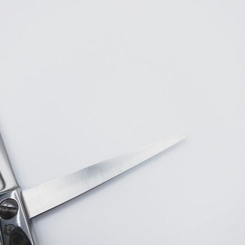 【ドッグウェルDOGWELL】TSB DMC-55 トリミングシザー メガネ 右利き トリマー ペット 5.5インチ 中古 sc120