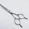 【シザーズジャパンSCISSORS JAPAN】RISEライズ アール カーブシザー メガネ理容 美容ハサミ 美容師 理容師 右利き 5.5インチ 中古 sc127