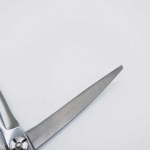 【シザーズジャパンSCISSORS JAPAN】RISEライズ アール カーブシザー メガネ理容 美容ハサミ 美容師 理容師 右利き 5.5インチ 中古 sc127