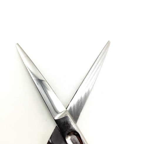 【サクシードSUCCEED】BE-SLENビースレン シザー メガネ 理容 美容ハサミ 美容師 理容師 右利き 5.5インチ 中古 sc1943