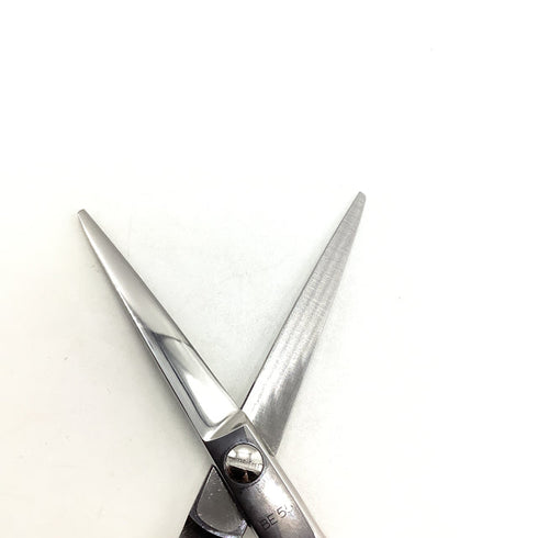 【サクシードSUCCEED】BE-SLENビースレン シザー メガネ 理容 美容ハサミ 美容師 理容師 右利き 5.5インチ 中古 sc1943