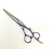 【シザーズジャパンSCISSORS JAPAN】AHR58i01N LSBS加工 シザー オフセット 理容 美容ハサミ 美容師 理容師 右利き 6インチ 中古 sc2108