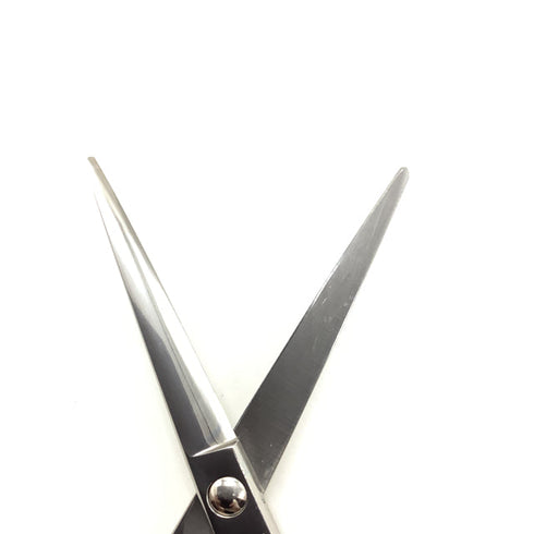 【NSP】 シザー メガネ 理容 美容ハサミ 美容師 理容師 右利き 5.7インチ 中古 sc2132