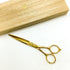 【オオカワプロシザーズ オオカワプロシザーOKAWA PRO SCISSORS】JAGⅡ SGJ60-A ゴールドコーティング シザー メガネ 理容 美容ハサミ 美容師 理容師 右利き 6インチ 中古 sc2162