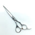 【シザーズジャパンSCISSORS JAPAN】EVHP60i16Y Evプロペラ LSBS加工 シザー オフセット 理容 美容ハサミ 美容師 理容師 右利き 6インチ 中古 sc2181