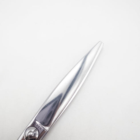 【トラックスシザーズ トラックスシザーTRACKS SCISSORS】SASA ドライカット スライド 笹刃シザー メガネ 理容 美容ハサミ 美容師 理容師 右利き 6インチ 中古 sc2838