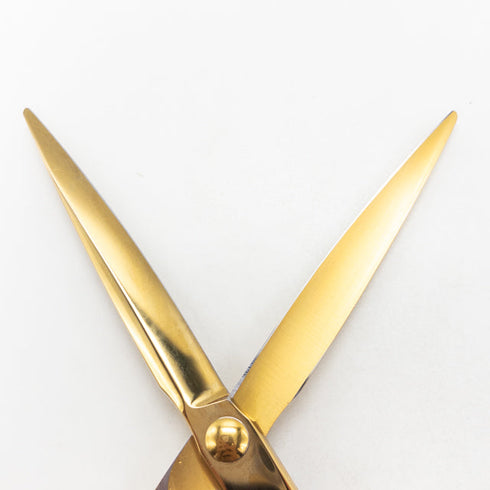 【アルファシザーas&co】SG-C チタンコーティング シザー オフセット 理容 美容ハサミ 美容師 理容師 右利き 6.5インチ 中古 sc2860