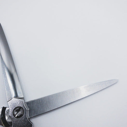 美品【ヒカリシザーズHIKARI光シザーHIKARI SCISSORS】Roi COSMOSロアコスモス922 シザー メガネ 理容 美容ハサミ 美容師 理容師 右利き 6.3インチ 中古 sc293