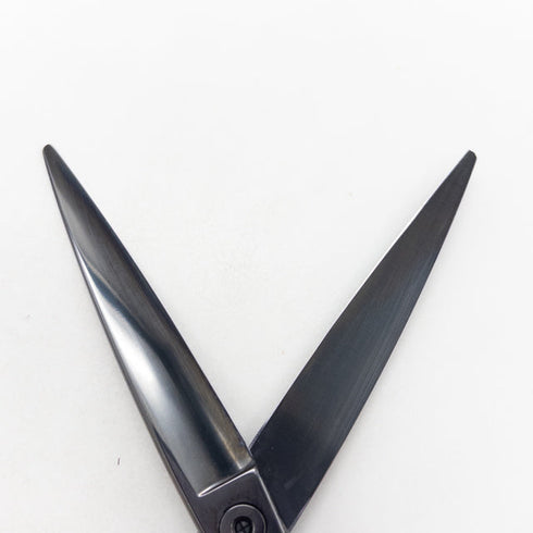 【オオカワプロシザーズ オオカワプロシザーOKAWA PRO SCISSORS】JAGⅡ SGJ60-X シザー オフセット 理容 美容ハサミ 美容師 理容師 右利き 6インチ 中古 sc3441