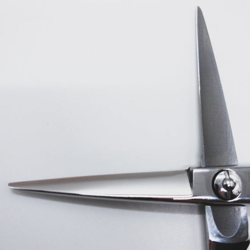 【ミズタニシザーズ ミズタニシザーMIZUTANI SCISSORS】Pixy5.2ピクシー シザー メガネ 理容 美容ハサミ 美容師 理容師 右利き 5.2インチ 中古 sc626