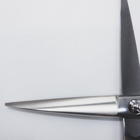 新品同様【ミズタニシザーズ ミズタニシザーMIZUTANI SCISSORS】PIXY6.2ピクシー シザー メガネ 理容 美容ハサミ 美容師 理容師 右利き 6.2インチ 中古 sc804