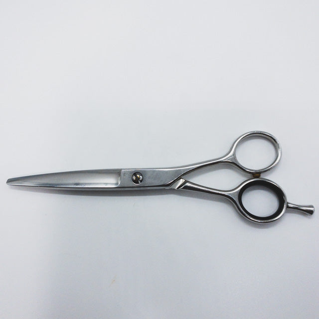 ネットワークNETWORK】 ドライカット スライド シザー メガネ 理容