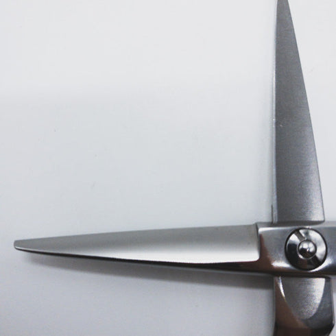 【ミズタニシザーズ ミズタニシザーMIZUTANI SCISSORS】 シザー メガネ 理容 美容ハサミ 美容師 理容師 右利き 5.2インチ 中古 sc936