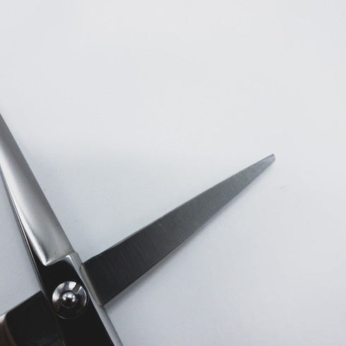 【ミズタニシザーズ ミズタニシザーMIZUTANI SCISSORS】 シザー メガネ 理容 美容ハサミ 美容師 理容師 右利き 5.2インチ 中古 sc936