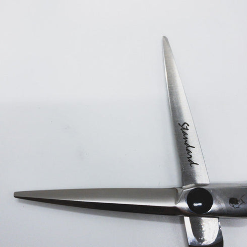 美品【ピークアブーPEEK-A-BOO】STANDARD 5.5 シザー メガネ 理容 美容ハサミ 美容師 理容師 右利き 5.5インチ 中古 sc1062