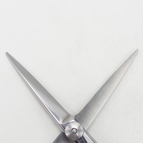 【サクシードSUCCEED】CUT.L カットエル シザー オフセット 理容 美容ハサミ 美容師 理容師 右利き 5.5インチ 中古 yc76