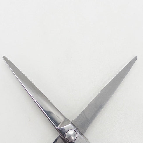 【サクシードSUCCEED】CUT.L カットエル シザー オフセット 理容 美容ハサミ 美容師 理容師 右利き 5.5インチ 中古 yc76